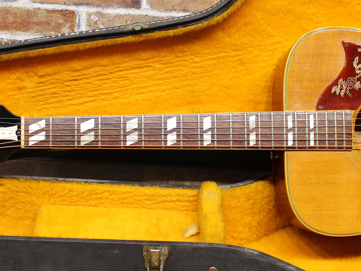 Gibson 1969 Dove Natural - 3.jpg